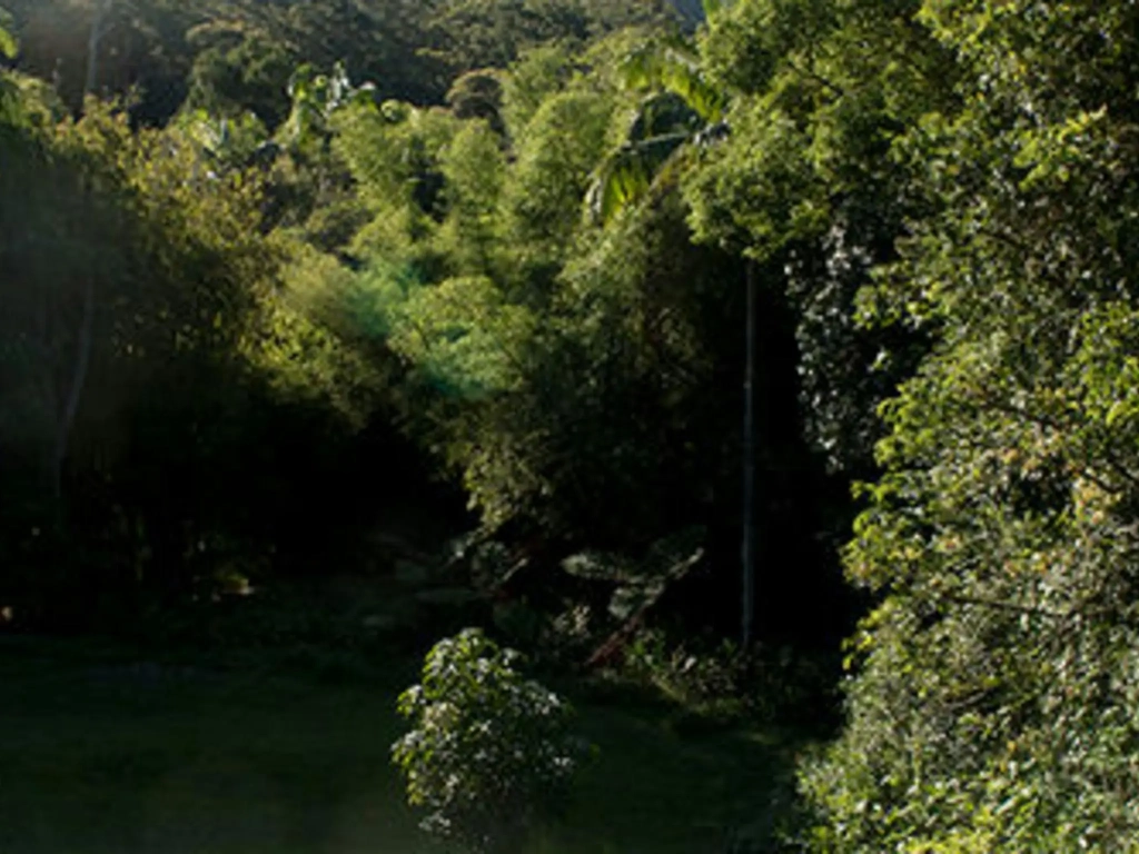 Ananda Rainforest Retreat