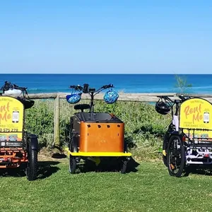 Lineup of E-Trike rentals on the Gold Coast beachfront,   e-bike alternatives for sightseeing.