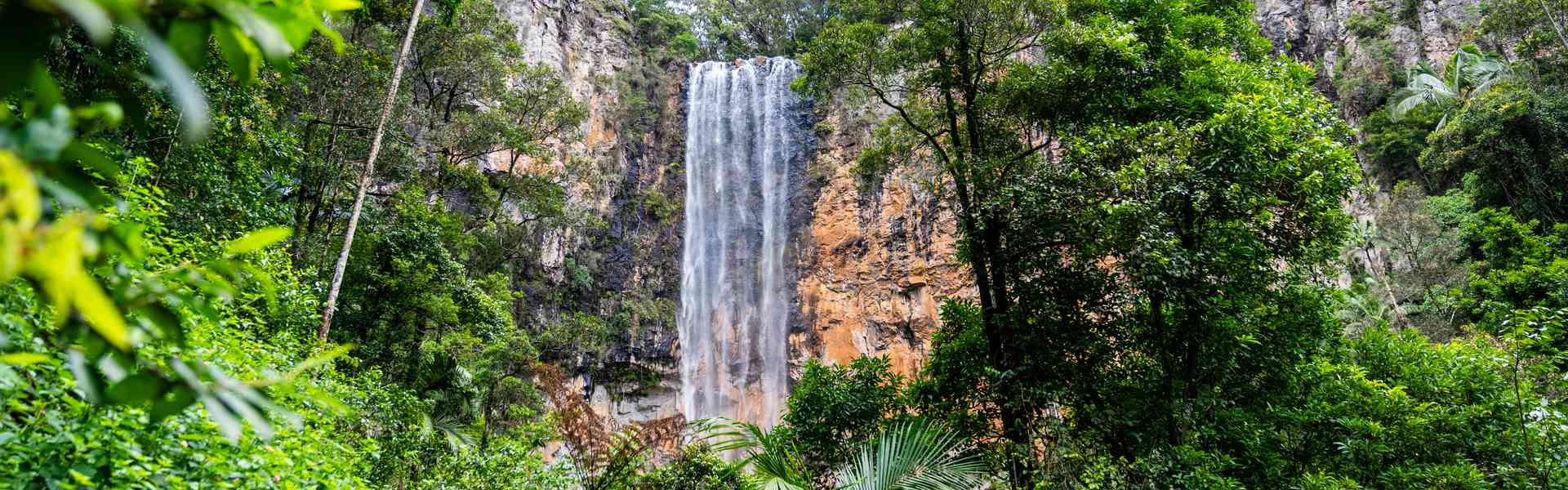 Best Waterfalls on the Gold Coast: Hidden Gems, Rainforest Walks & Swimming Spots