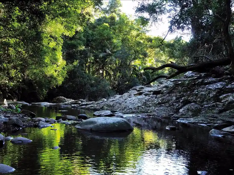 Currumbin Rock Pools