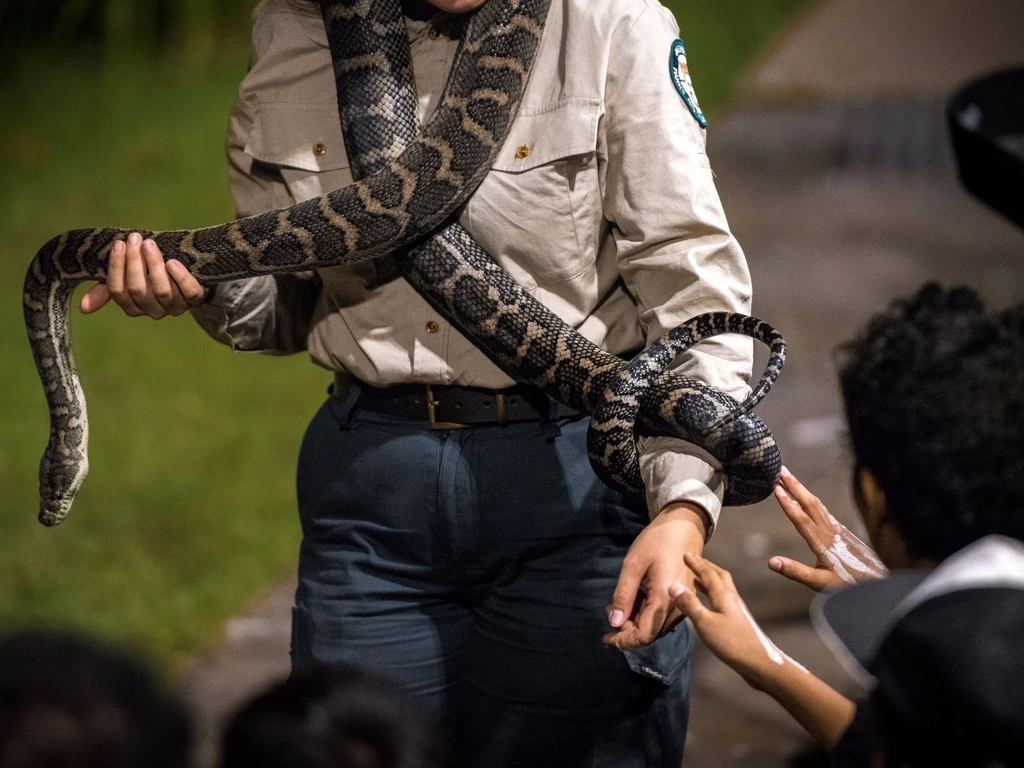 A Park Ranger is holding a python across both his arms and is showing it to the audience.