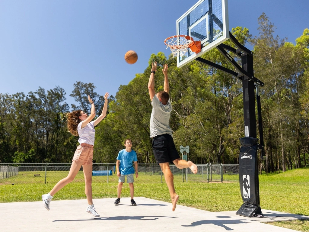 Basketball and Dog park