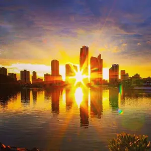 View of the Gold Coast skyline at dawn from Evandale Parklands