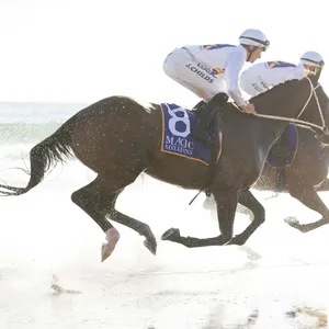 TAB Magic Millions Barrier Draw Image 1