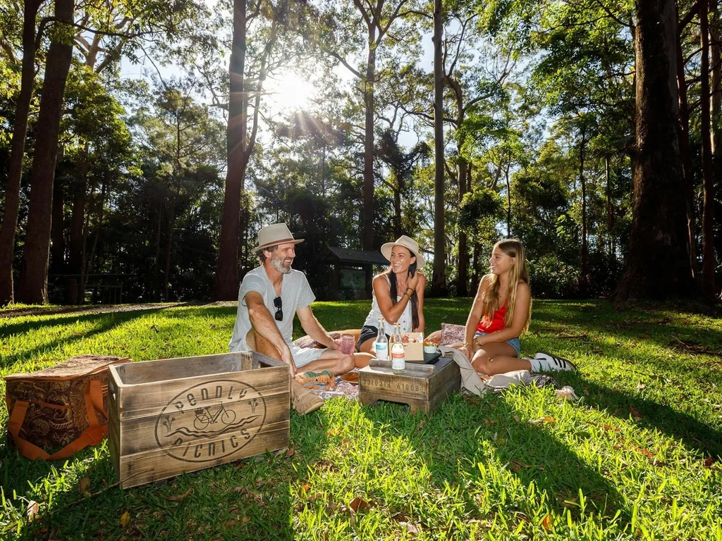 Picnic
