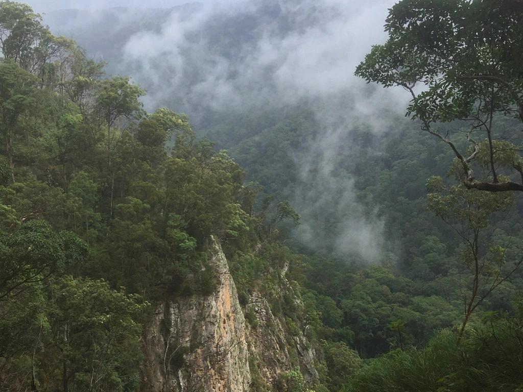 A scenic view in Lamington National Park