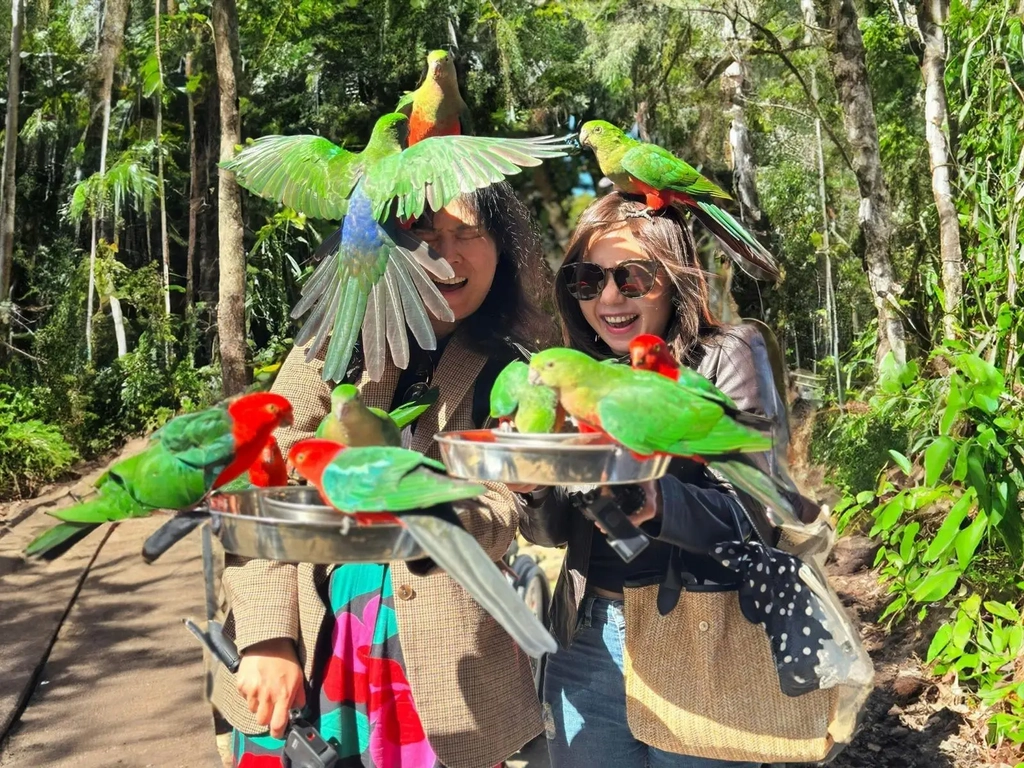 Birds being fed by two women