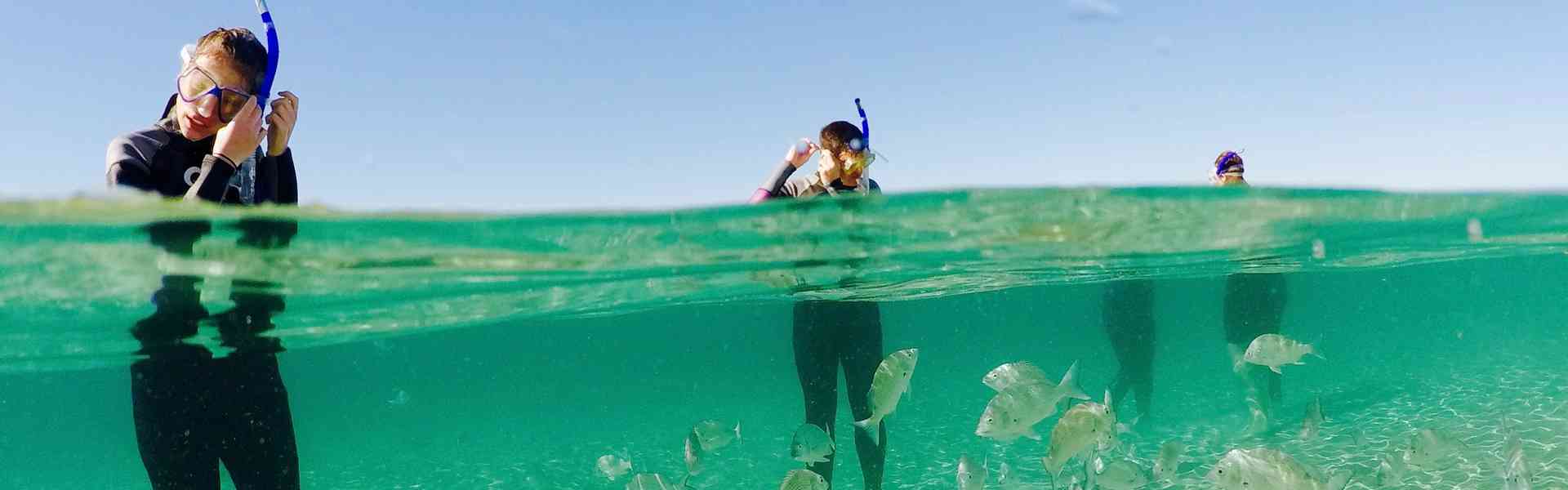 Australian Kayaking Adventures