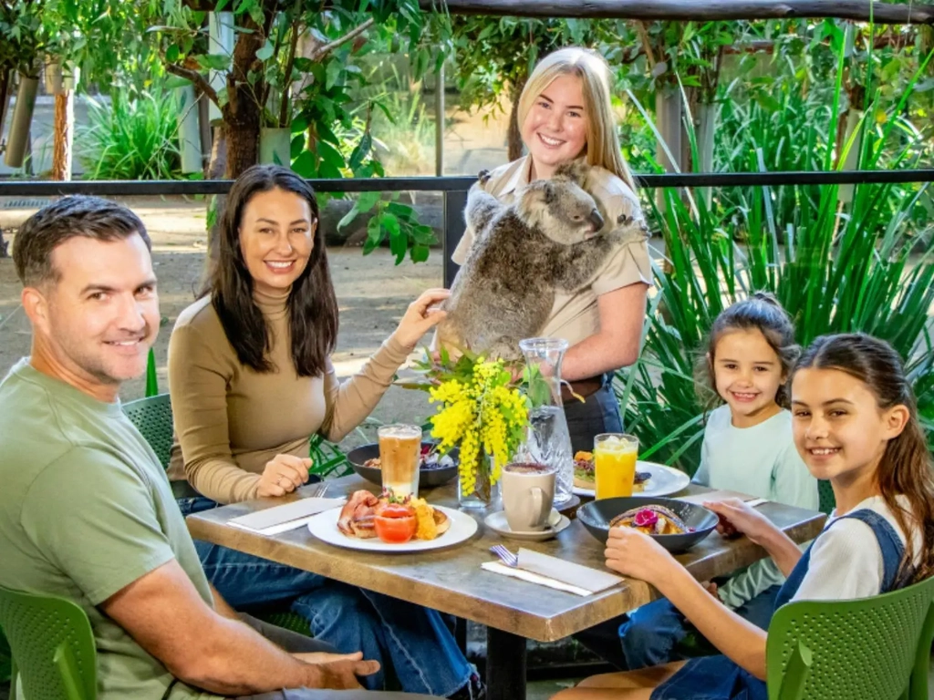 Koala Breakfast at Currumbin Wildlife Sanctuary Image 1