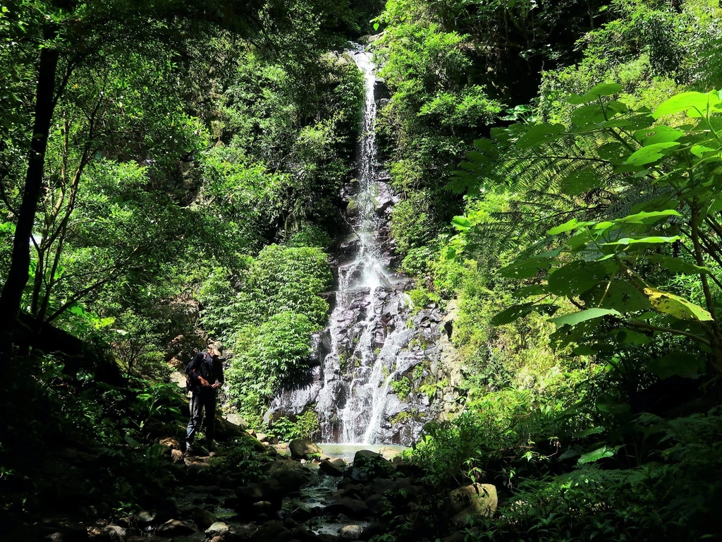 Beautiful Lamington National Park