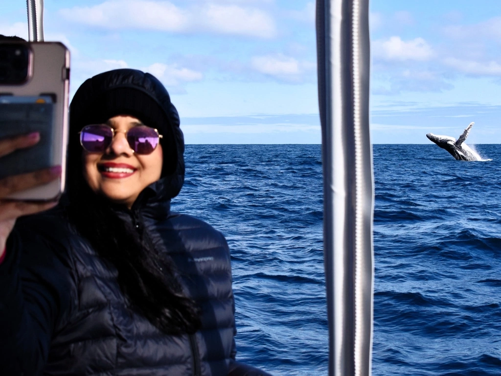 Whale Watch Queensland