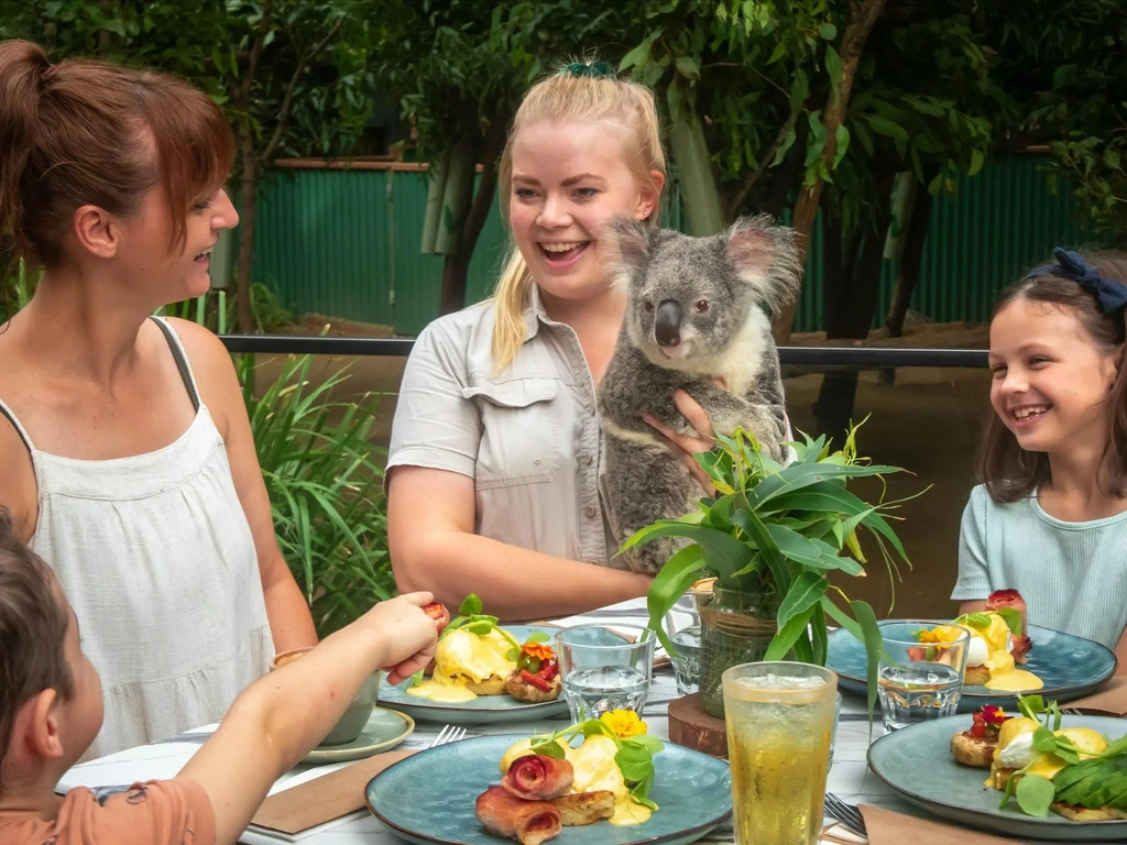 Family eating breakfast while keeper holds a koala