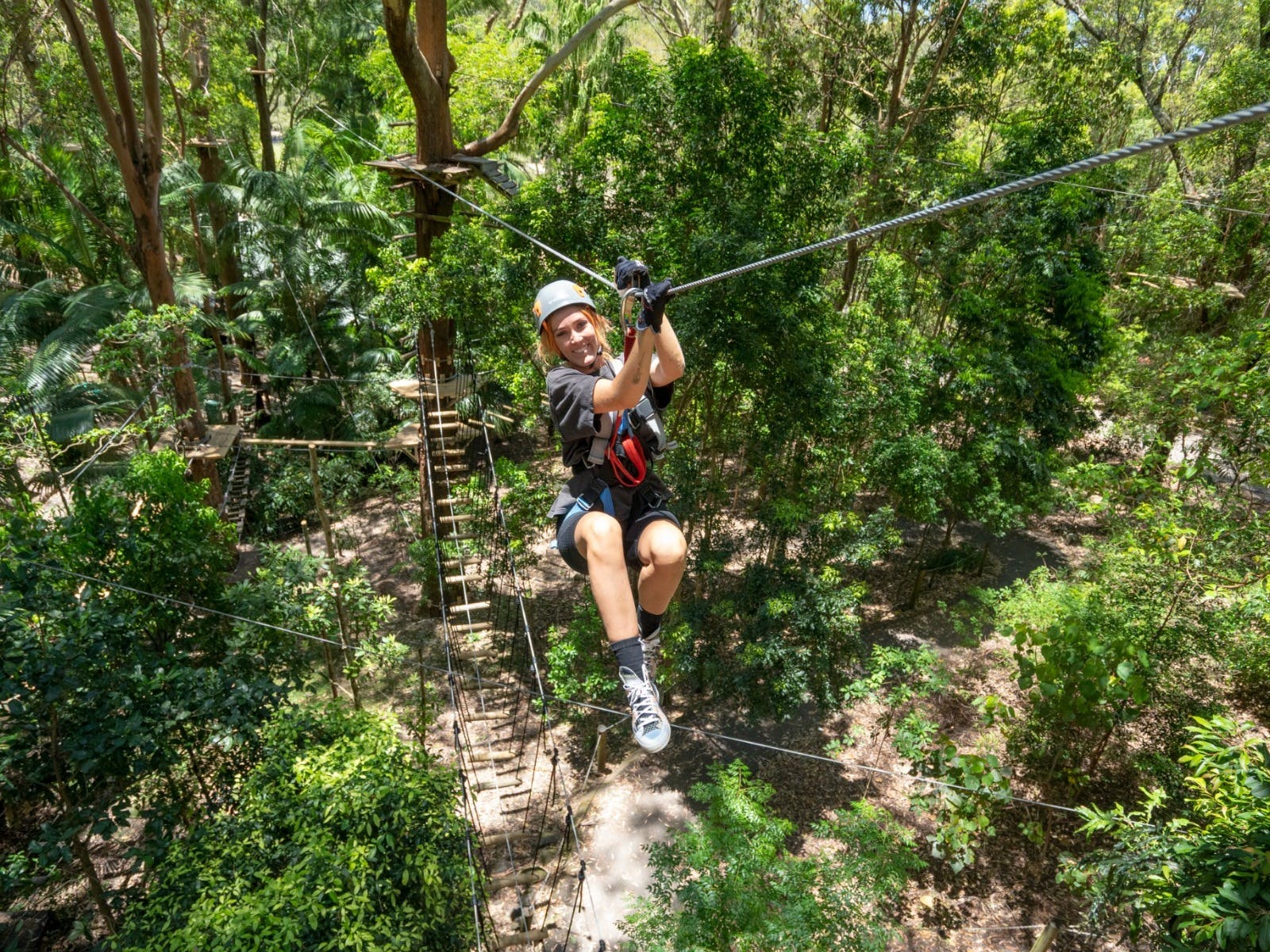 TreeTop Challenge Currumbin Wildlife Sanctuary Destination Gold Coast