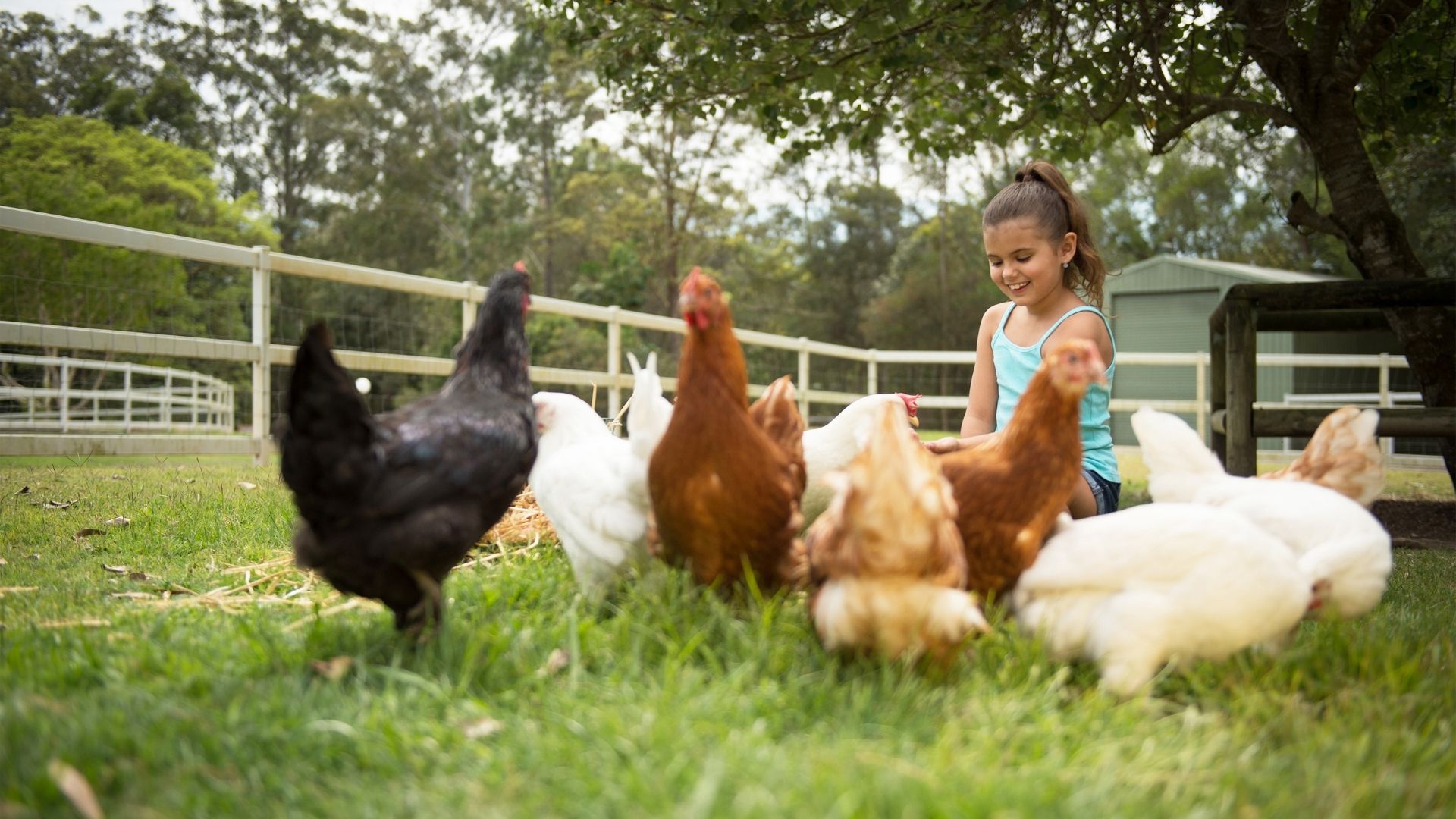 farm tours gold coast