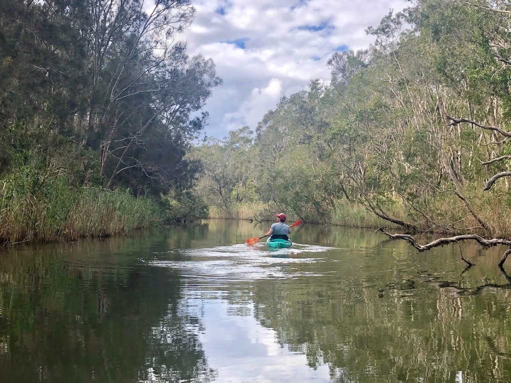 Kayak