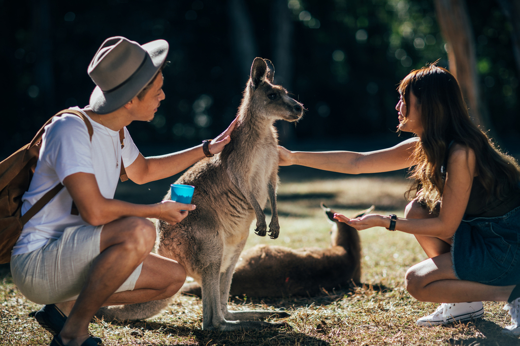 Currumbin Wildlife Sanctuary