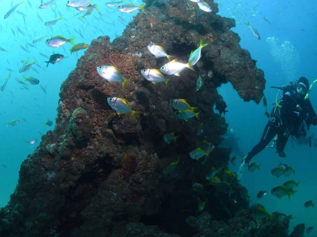 Scottish Prince Dive Site