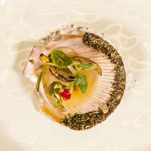 Palette dish.jpg