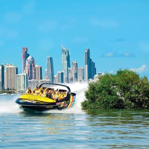 TOP 20 GOLD COAST EXPERIENCES