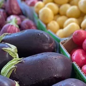 The Helensvale Farmers Market Image 1