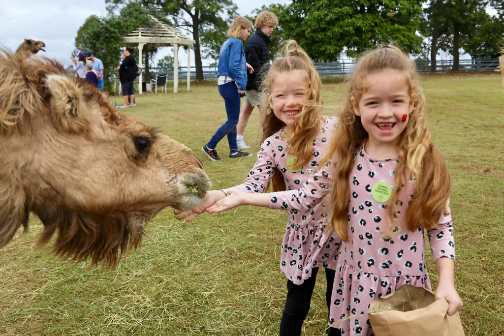 Little Farmer Humpty Day - Kids Event Image 3