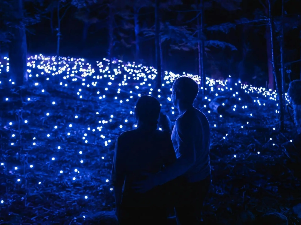 Couple holding each other looking at a field full of blue and white lights.