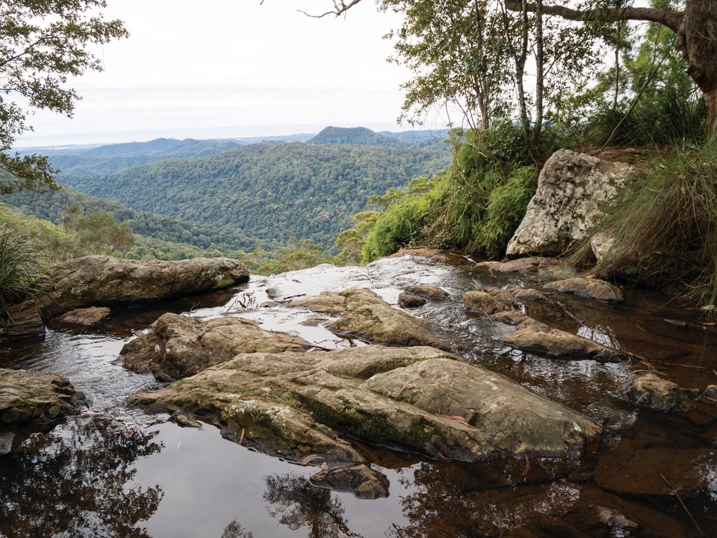 Creek and waterfalls of Twin Falls, Springbrook National Park