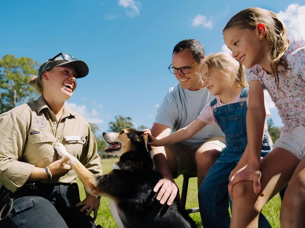 Family participating in sheepdog encounter