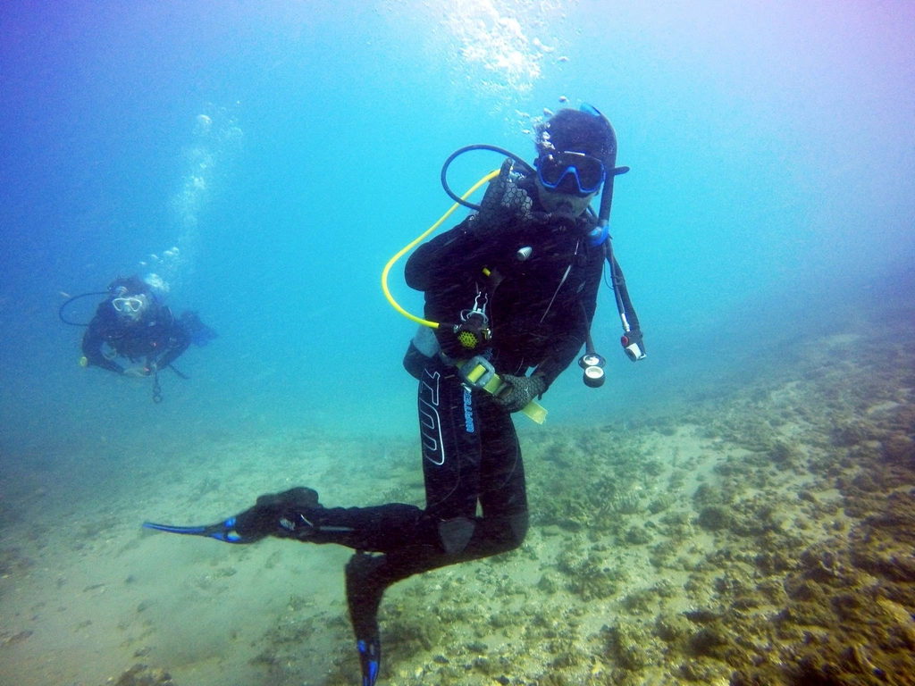 Scuba Diving Gold Coast