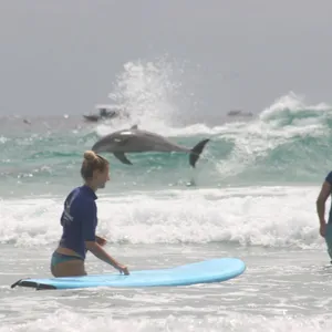 Learn to surf Lessons