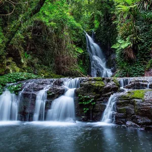 Lamington, Elabana Falls