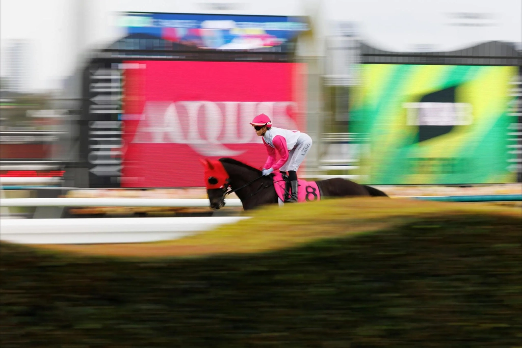 Sky Racing Pink Ribbon Raceday Image 4