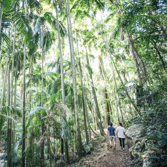 Gold Coast Hinterland