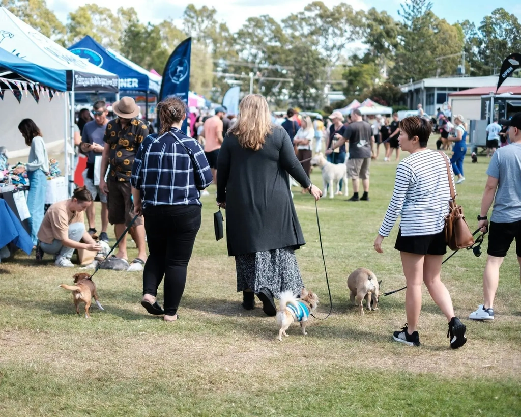 Dogs on the Green Christmas in July Image 1