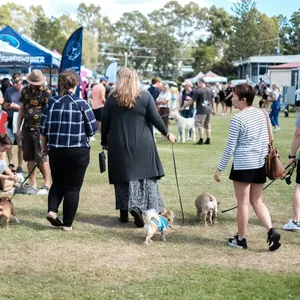 Dogs on the Green Christmas in July Image 1