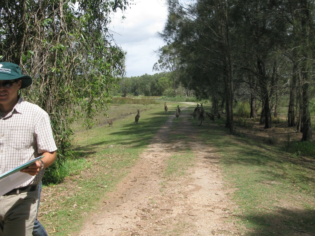 Coombabah Lakes Conservation Area