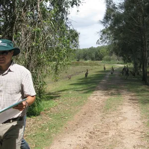 Coombabah Lakes Conservation Area