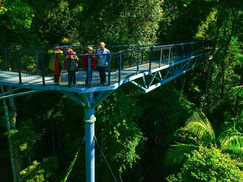 Tamborine Rainforest Skywalk with Hop on Hop off