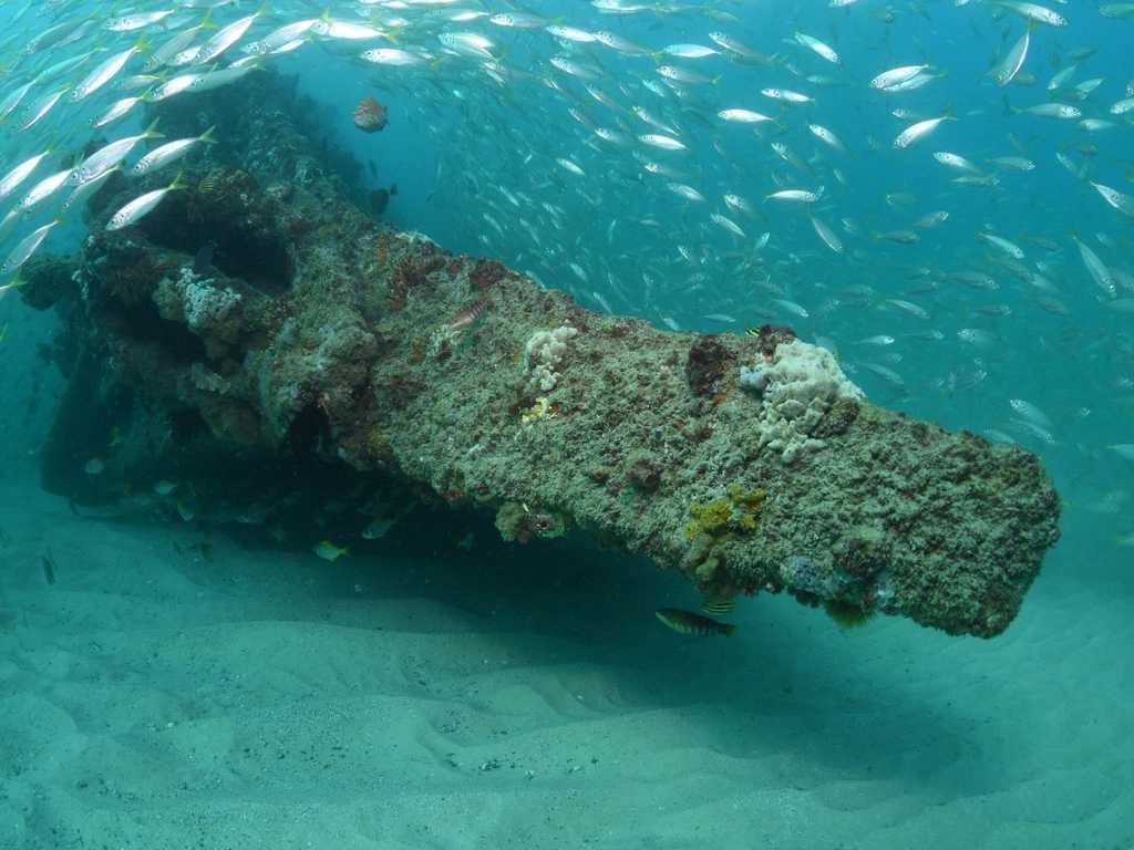 Scottish Prince Dive Site