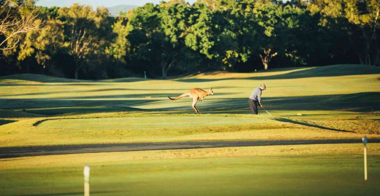 Gold Coast Golf Courses Destination Gold Coast