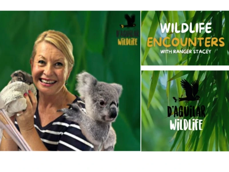 Wildlife Encounters with Ranger Stacey Image 1