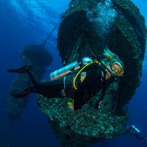 Wonder Reef