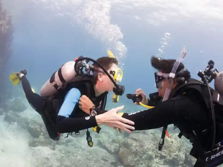 Gold Coast PADI Scuba Dive Intro Aqua Adventures