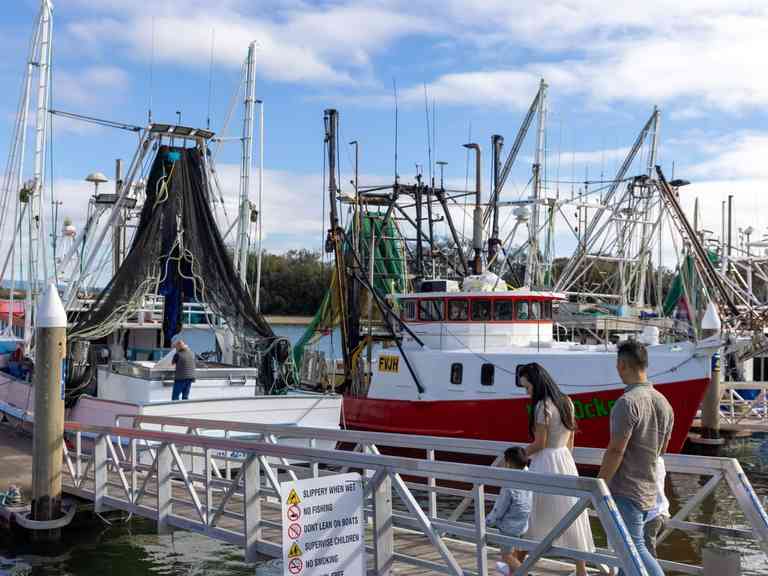 Gold Coast Fishermen's Coop Destination Gold Coast