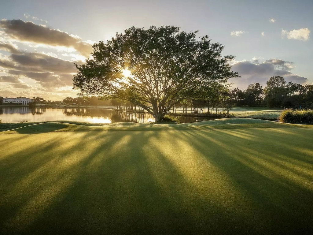 Hope Island Golf Course, Hole 17, Signature Hole 150 year old Fig sunrise Links Golf and Wellbeing