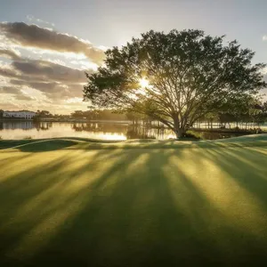 Hope Island Golf Course, Hole 17, Signature Hole 150 year old Fig sunrise Links Golf and Wellbeing