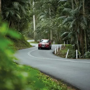 Vehicle driving along a tropical road surrounded by lush greenery