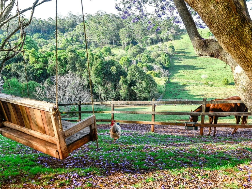 Relax on the swing and watch the horses