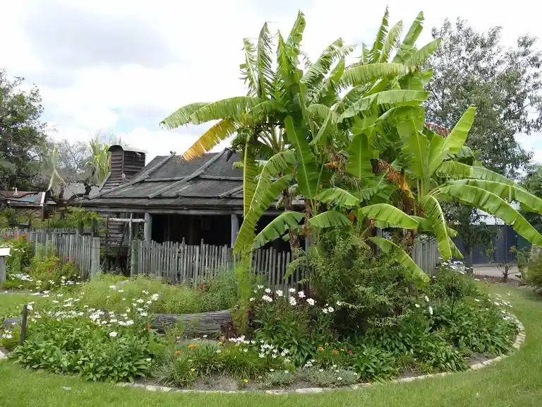 Gold Coast and Hinterland Historical Society
