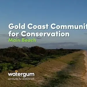 Gold Coast Community Beach Cleans for Conservation - Main Beach Image 1